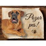 Sport hobby Cedulka Cane Corso II Pozor pes CP1653 20x15 – Hledejceny.cz