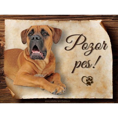 Sport hobby Cedulka Cane Corso II Pozor pes CP1653 20x15 – Zboží Mobilmania