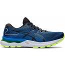 Asics Gel Nimbus 24 011b359-003