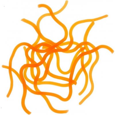 Hends Squirmy Worrms Fluo Orange – Zboží Dáma