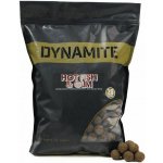Dynamite Baits Boilies Big Fish Hot Fish&GLM 1,8 kg 20 mm – Zboží Mobilmania