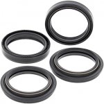 ALL BALLS sada olejových a prachových těsnění KAWASAKI ZX-6R 98-02, SUZUKI GSX1400 02-07 – Hledejceny.cz