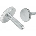 Rýhované šrouby nízké z oceli a nerezové oceli DIN 653 K1163.06X16 – Hledejceny.cz