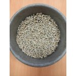 Energys Gold granule nosnice 25 kg – Zboží Dáma