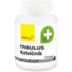 Wolfberry Tribulus terrestris kotvičník zemní 120 kapslí – Hledejceny.cz