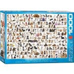 EuroGraphics Svět psů 1000 dílků – Zboží Mobilmania