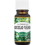 Saloos esenciální olej Kouzlo Vánoc 10 ml – Sleviste.cz