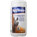 Nutri Horse Chondro Plus 1 kg – Hledejceny.cz