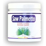 Nutristar Saw Palmeto 100 tablet – Hledejceny.cz
