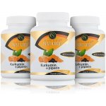 Golden Nature 2+1 Kurkumin 95% + Piperin 300 kapslí – Hledejceny.cz