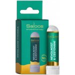 Saloos Inhalační tyčinka Nevolnost a cestování 1 ks – Zboží Mobilmania