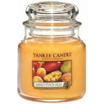 Yankee Candle Classic Mango Peach Salsa 411 g – Hledejceny.cz