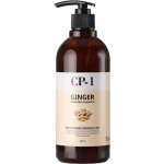 CP1 Ginger Purifying Shampoo s extraktem ze zázvoru 500 ml – Zboží Mobilmania