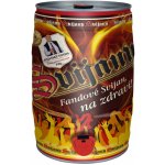 Svijany Svijanský Fanda 11° 11% 5 l (sud) – Zboží Dáma