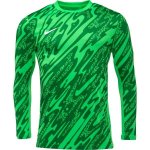 Nike dres s dlouhým rukávem NK DF GARDIEN V GK JSY fd7474-329 – Sleviste.cz