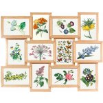 Edaxo Multirám na 12 fotek Fines, fotorámeček koláž 45 × 59 cm – Zboží Živě