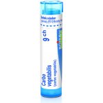 CARBO VEGETABILIS POR 9CH GRA 1X4G – Hledejceny.cz