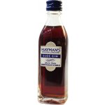 Hayman's Sloe Gin 26% 0,05 l (holá láhev) – Sleviste.cz