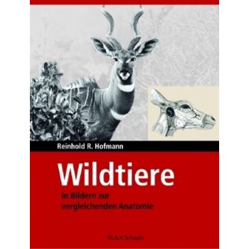 Wildtiere in Bildern zur Vergleichenden Anatomie Hofmann Reinhold R.