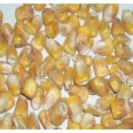 VKS Krmná kukuřice 25Kg – Zboží Dáma