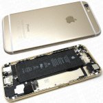 Kryt Apple iPhone 6 zadní zlatý – Zboží Živě
