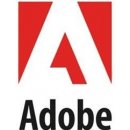 Adobe Acrobat Professional 2020 CZ WIN - 65310803