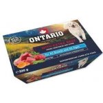 Ontario s extra hovězím 320 g – Hledejceny.cz