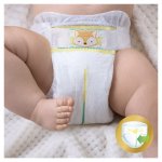 Pampers Premium Care 4 52 ks – Zboží Dáma