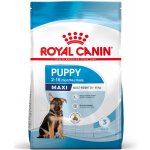 Royal canin Maxi junior 10 kg – Zbozi.Blesk.cz