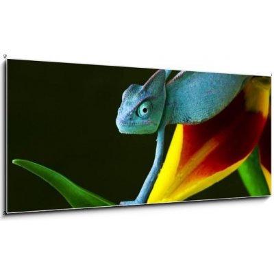 Obraz 1D panorama - 120 x 50 cm - cham leon chameleon lizard cizokrajná věc – Zboží Mobilmania