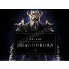 Hra na PC The Elder Scrolls 5: Skyrim Dragonborn