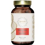 PuraviaLabs Přírodní železo + Vitamín C BIO Acerola 60 kapslí – Hledejceny.cz