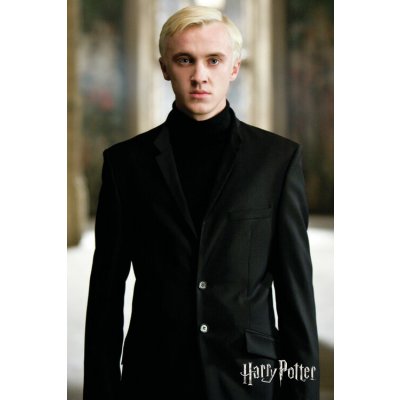 Plakát, Obraz - Harry Potter - Draco Malfoy, 26.7 × 40 cm – Zboží Dáma