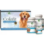 Colafit Max Forte na klouby pro psy 4 x 100 tbl – Zboží Mobilmania