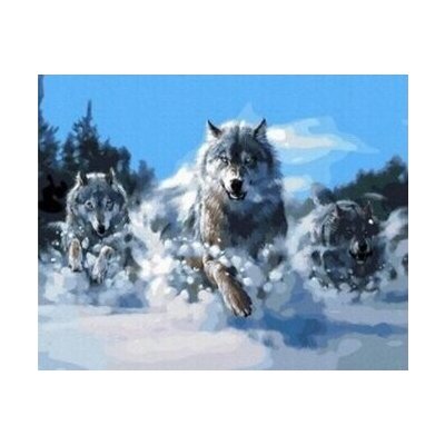 Norimpex diamantové malování Smečka vlků ve sněhu 30 x 40 cm – Hledejceny.cz