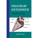 Fasciální osteopatie. Základy a techniky - Angelika Stunk – Hledejceny.cz