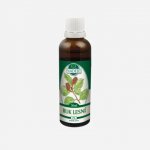 Naděje Buk lesní tinktura z pupenů 50 ml – Hledejceny.cz
