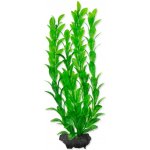 Tetra Hygrophila M 23 cm – Zboží Mobilmania