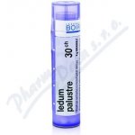 LEDUM PALUSTRE POR 30CH GRA 1X4G – Hledejceny.cz