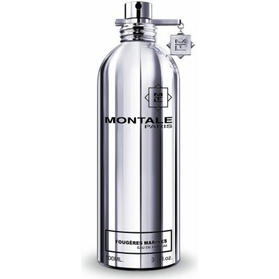 Montale Fougere Marine parfémovaná voda unisex 100 ml