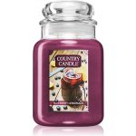 Country Candle Blueberry Lemonade 652 g – Hledejceny.cz