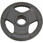 SEDCO IRON CAST -Kotouč činky 50 mm 1,25 kg – Zboží Dáma