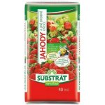 Forestina substrát pro jahody 40 l – Hledejceny.cz