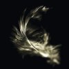 Obraz Skleněný obraz The feather 30x30 cm