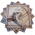 Etex Bavlněné kapesníky světlé 6ks – Zboží Dáma