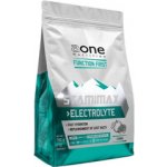 Aone Nutrition Stamimax Electrolyte 750 g – Zboží Mobilmania