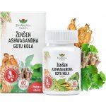 EkoMedica Ženšen Ashwagandha Gotu kola 60 kapslí – Hledejceny.cz