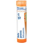 BELLIS PERENNIS POR 15CH GRA 4G – Hledejceny.cz