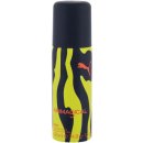 Puma Animagical Man deospray 50 ml