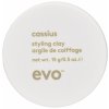 Přípravky pro úpravu vlasů evo Cassius Styling Clay 15 g